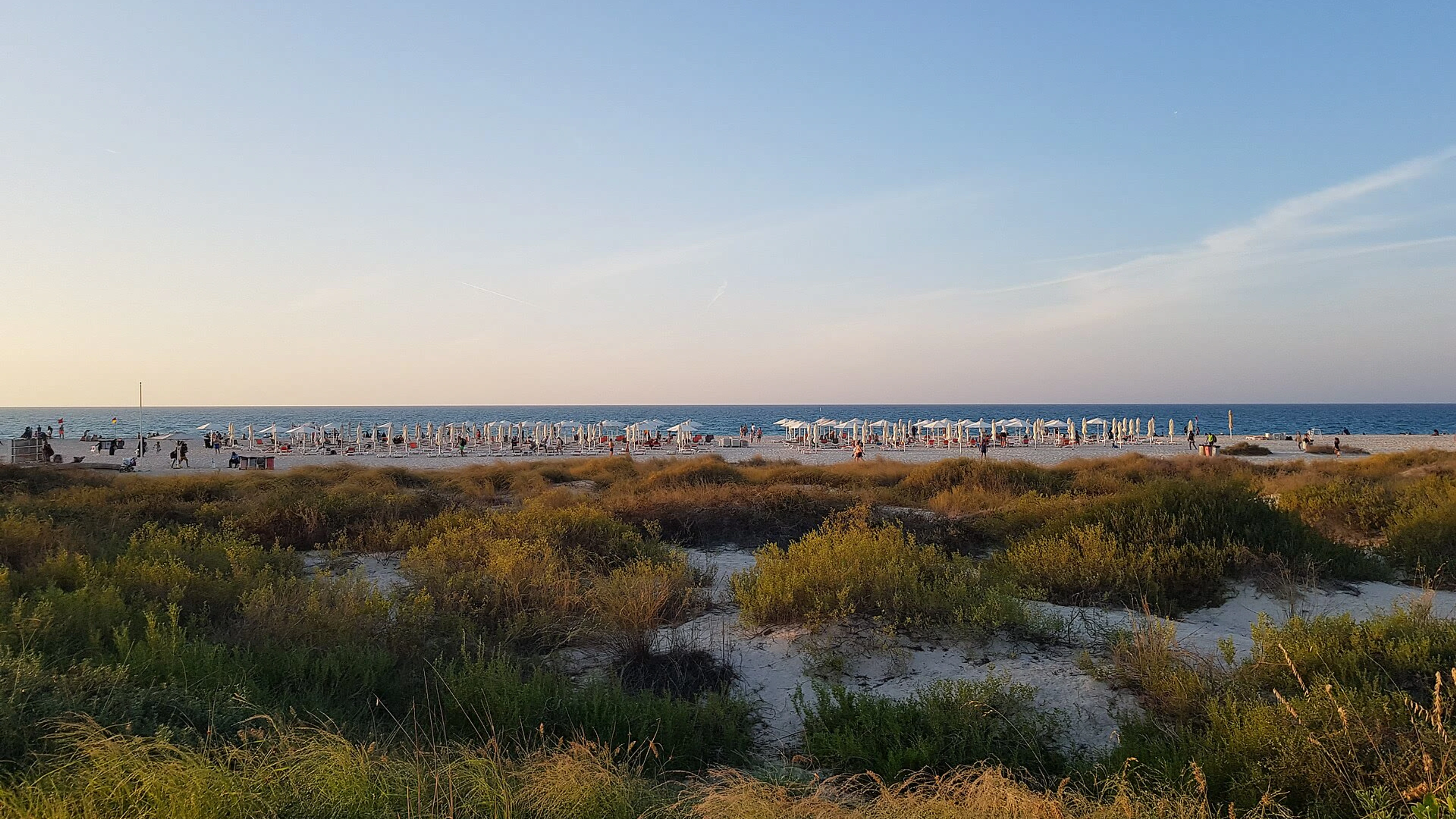 Official Saadiyat Island project media showing the island development context